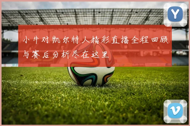 小牛对凯尔特人精彩直播全程回顾与赛后分析尽在这里